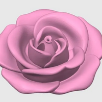Rose 16oz Toppers